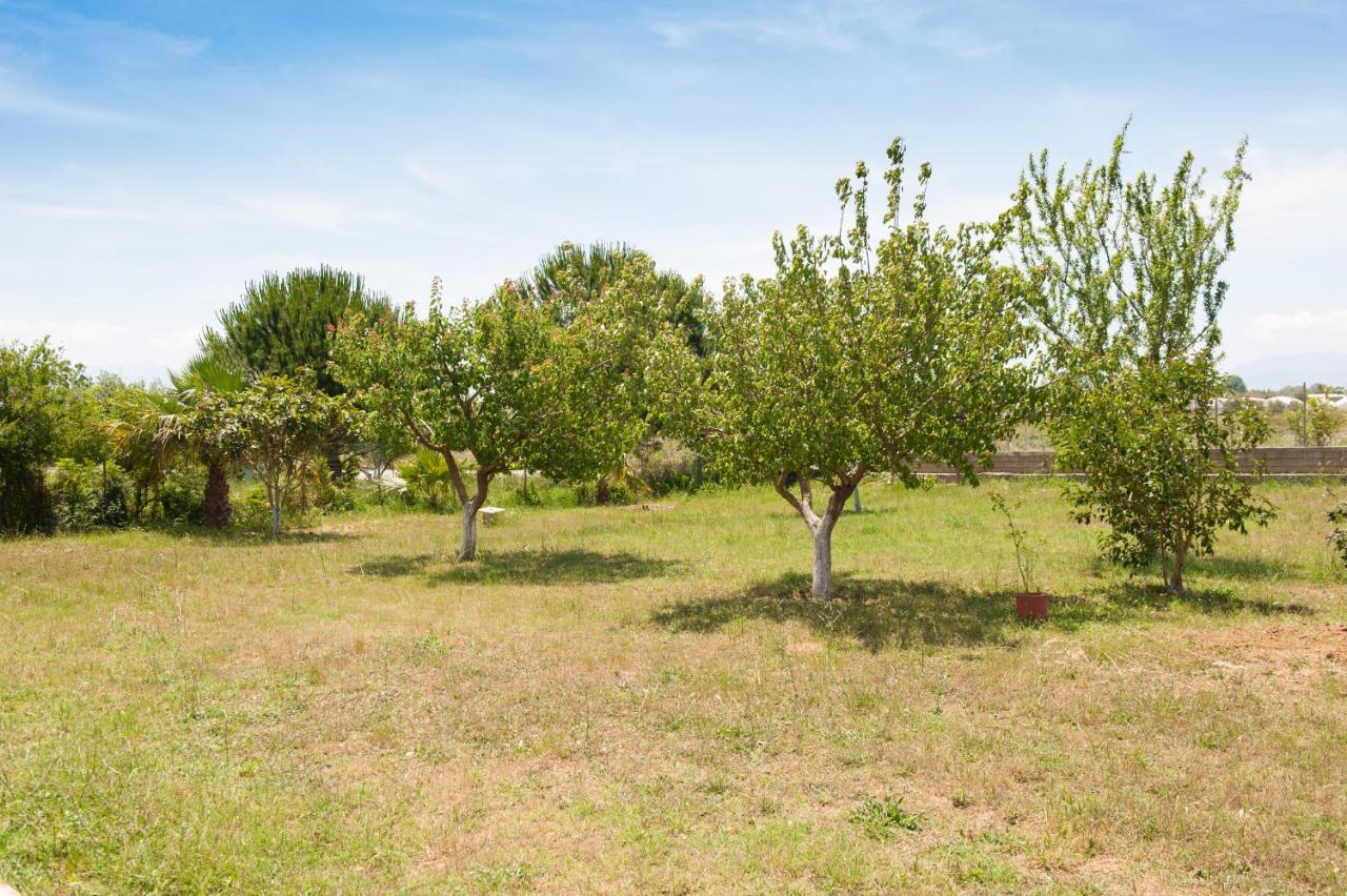 Olives Estate Apartments Grande Preveze Dış mekan fotoğraf