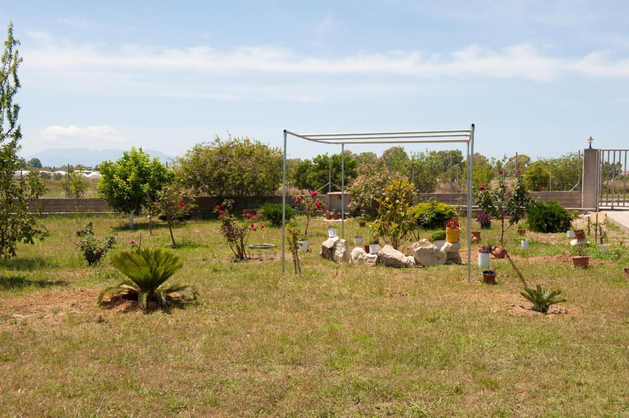 Olives Estate Apartments Grande Preveze Dış mekan fotoğraf
