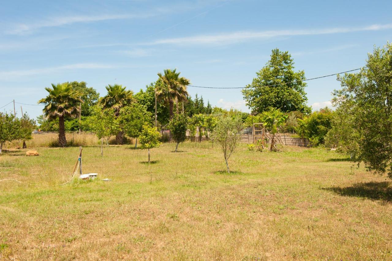 Olives Estate Apartments Grande Preveze Dış mekan fotoğraf
