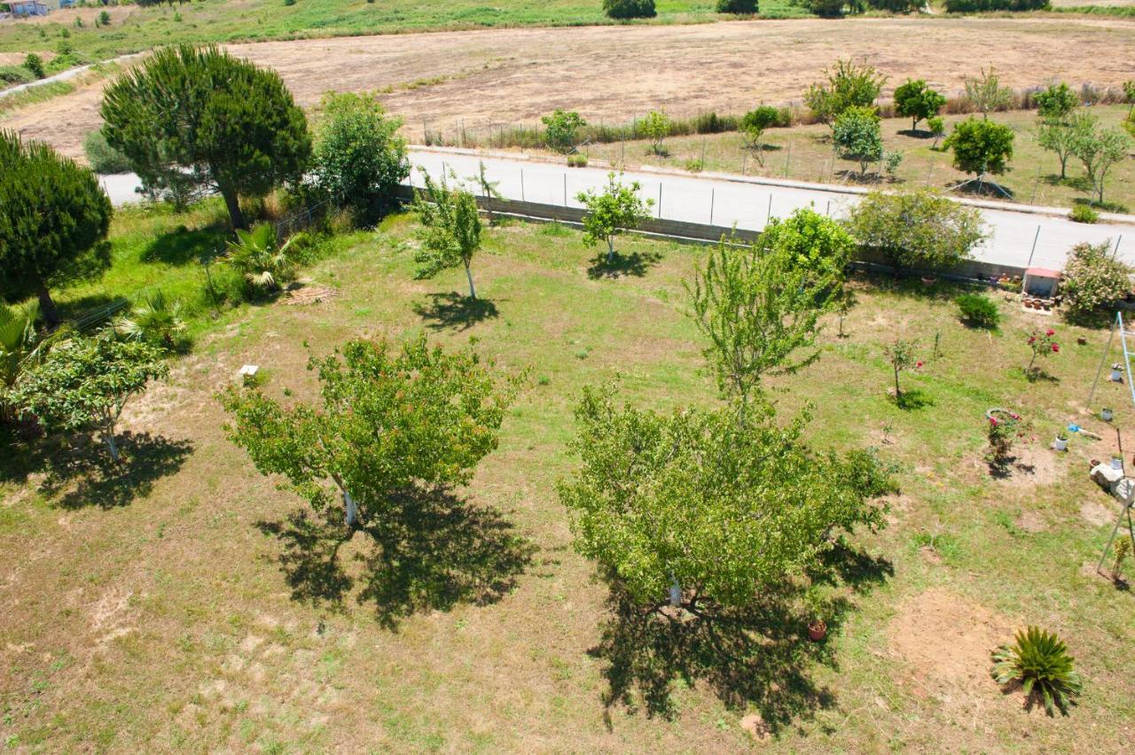 Olives Estate Apartments Grande Preveze Dış mekan fotoğraf