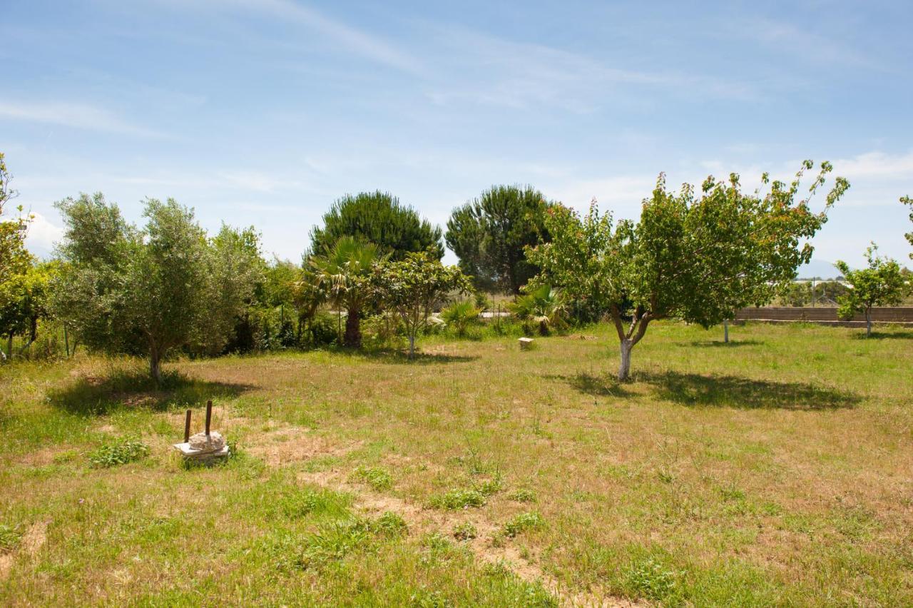 Olives Estate Apartments Grande Preveze Dış mekan fotoğraf