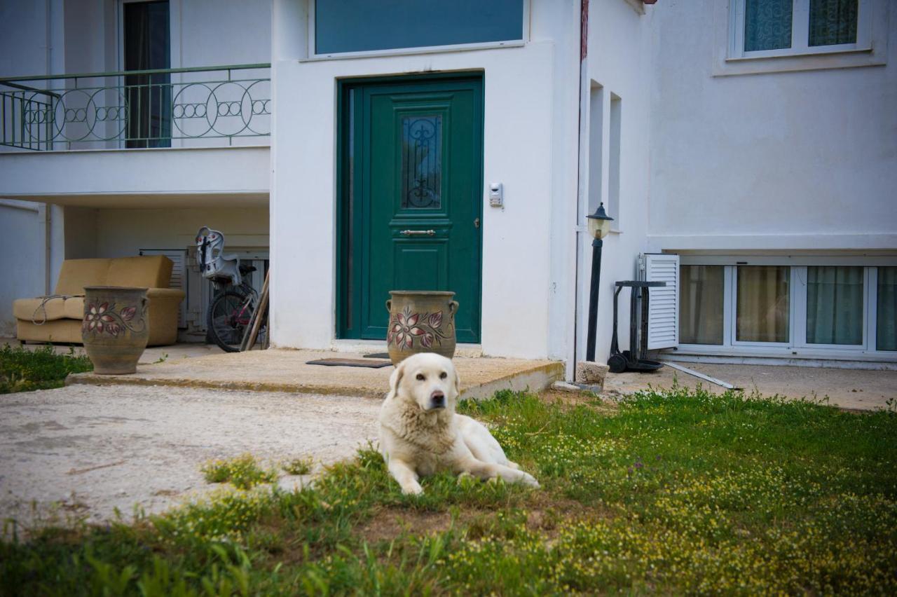 Olives Estate Apartments Grande Preveze Dış mekan fotoğraf
